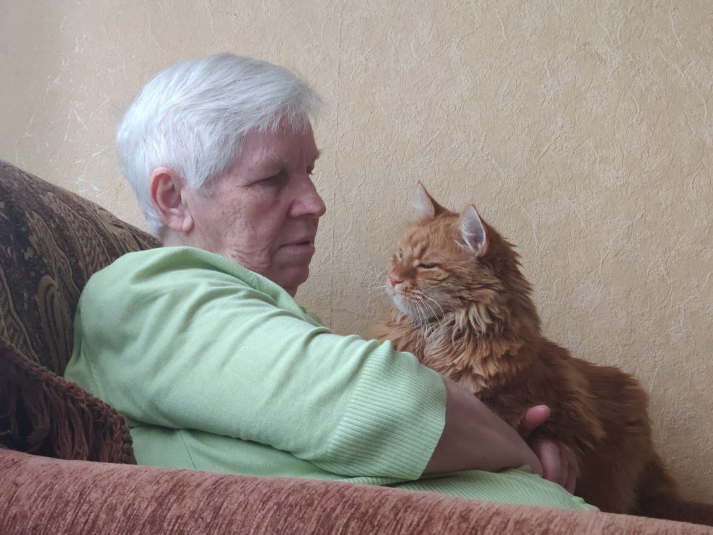 Бабушка и кот из Мариуполя